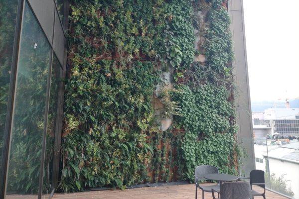 Giardini verticali modalità di progettazione e di realizzazione (cod. AF2-360433)