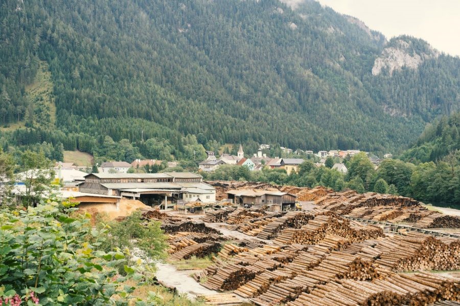 Taglio e trattamento del legno e conseguenze sul benessere abitativo (cod. AF2-355294)