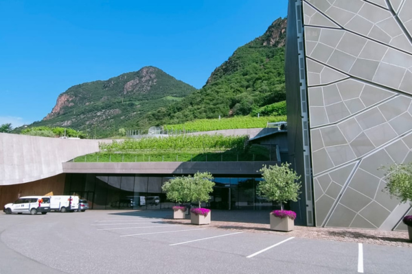Nature Based Solution e il concetto di Urban Green Infrastructure (cod. AF2-360386)