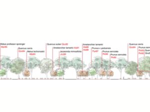 Progettazione e rigenerazione urbana, analisi casi di lavoro (cod. AF3-466382)