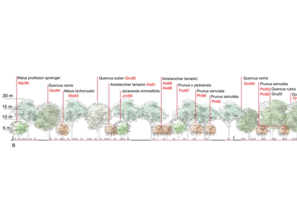 Progettazione e rigenerazione urbana, analisi casi di lavoro (cod. AF3-466436)